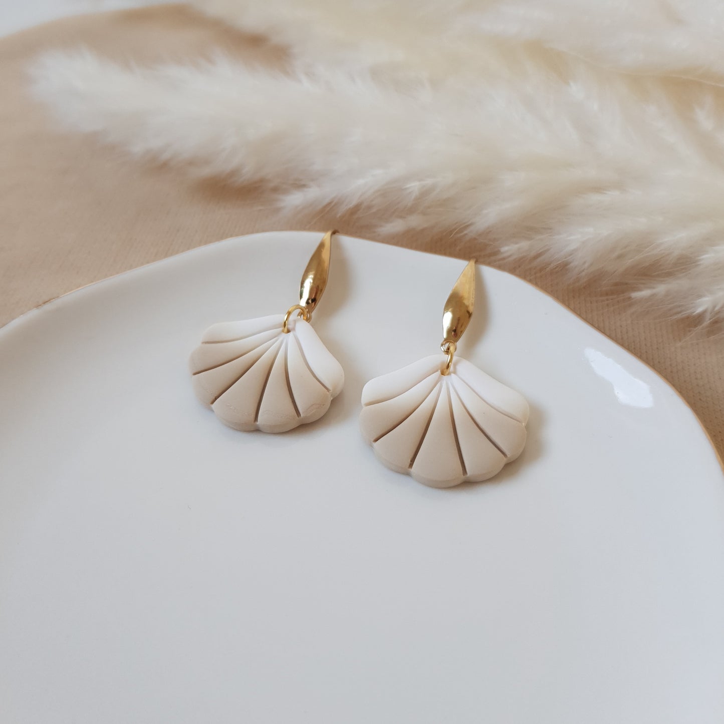 Ombre sea shells