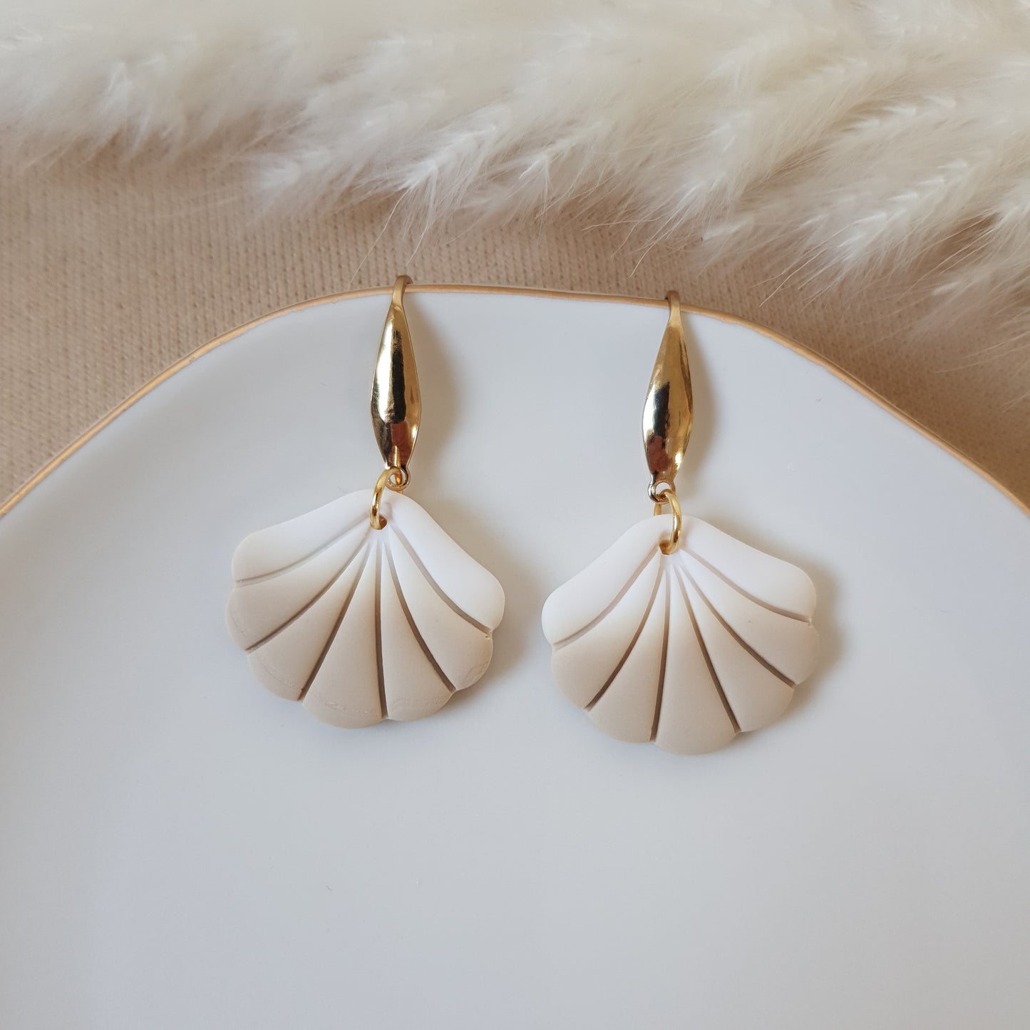Ombre sea shells
