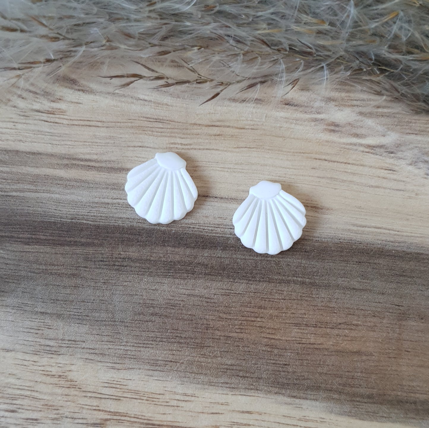 Elegant white shell studs