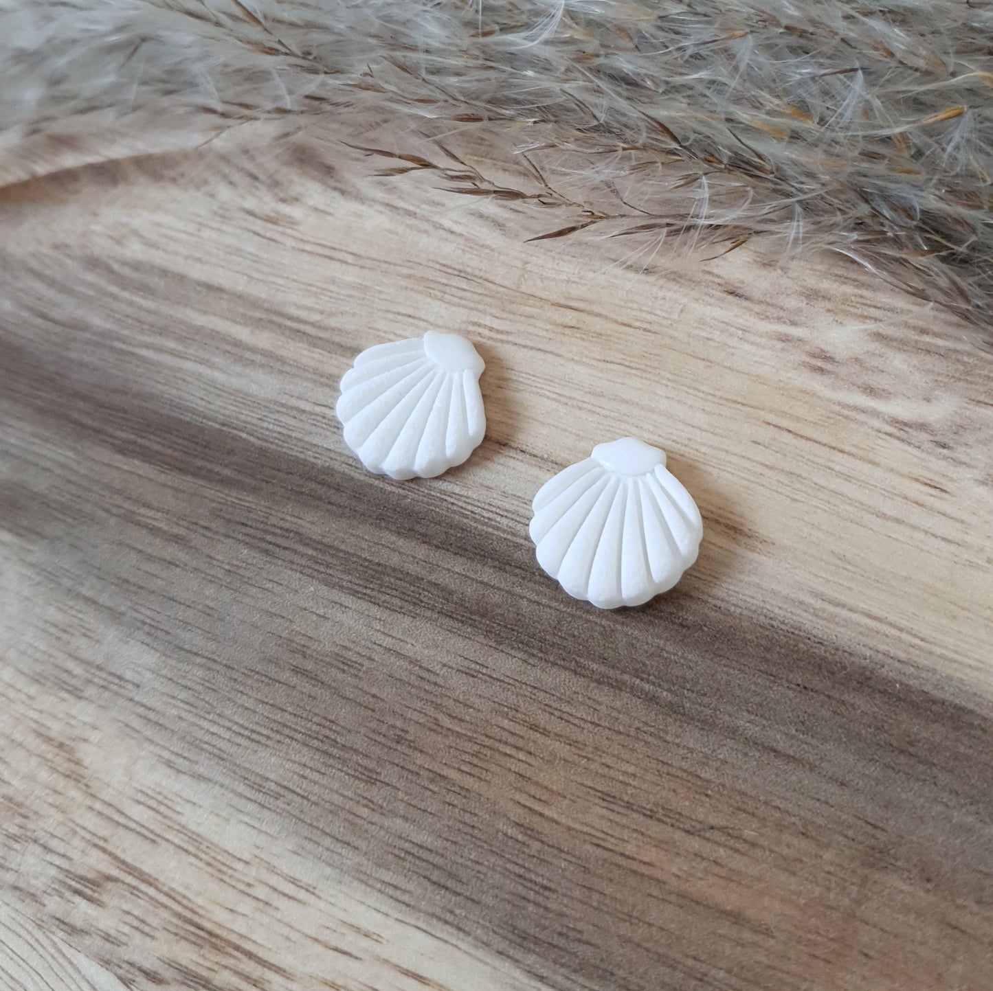 Elegant white shell studs
