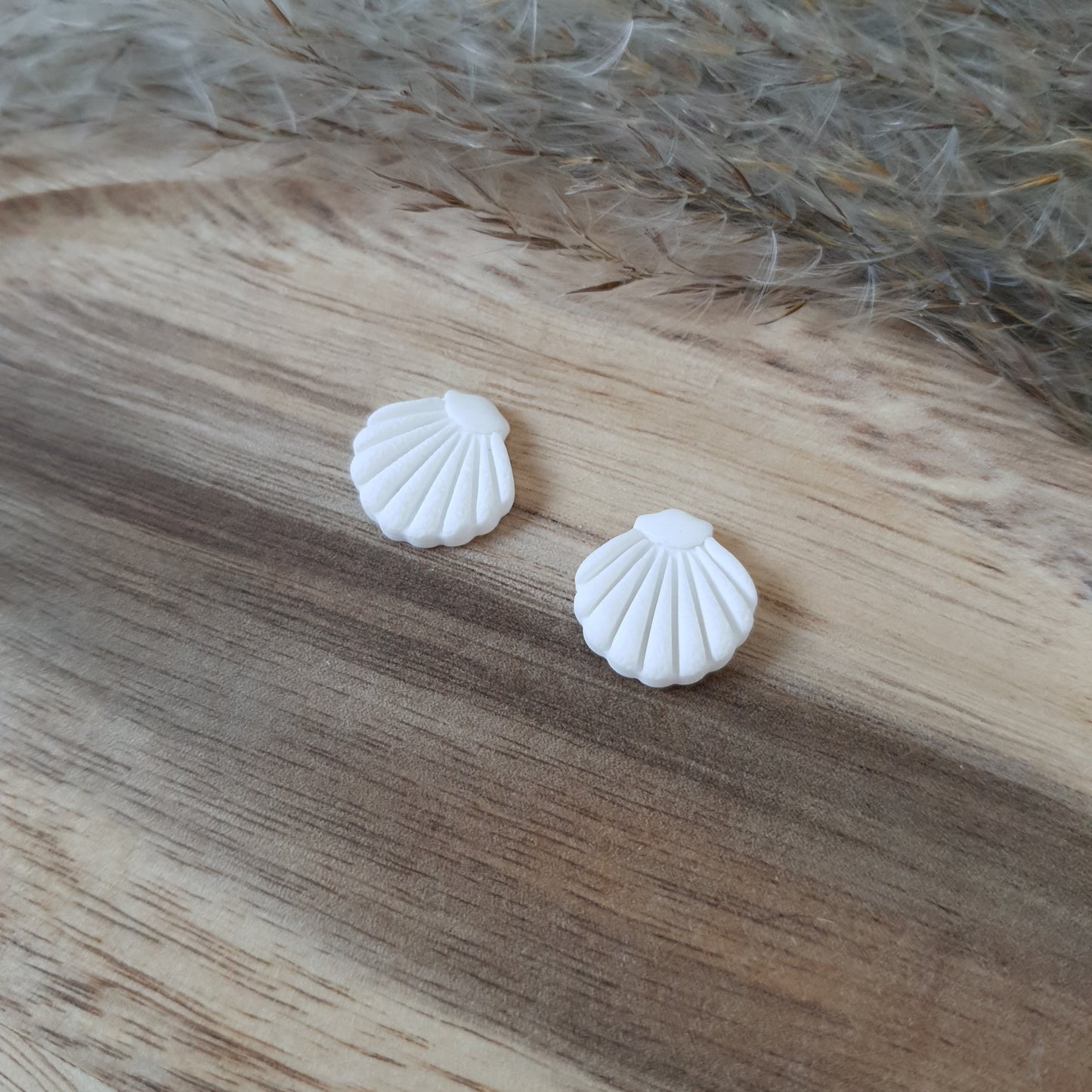 Elegant white shell studs