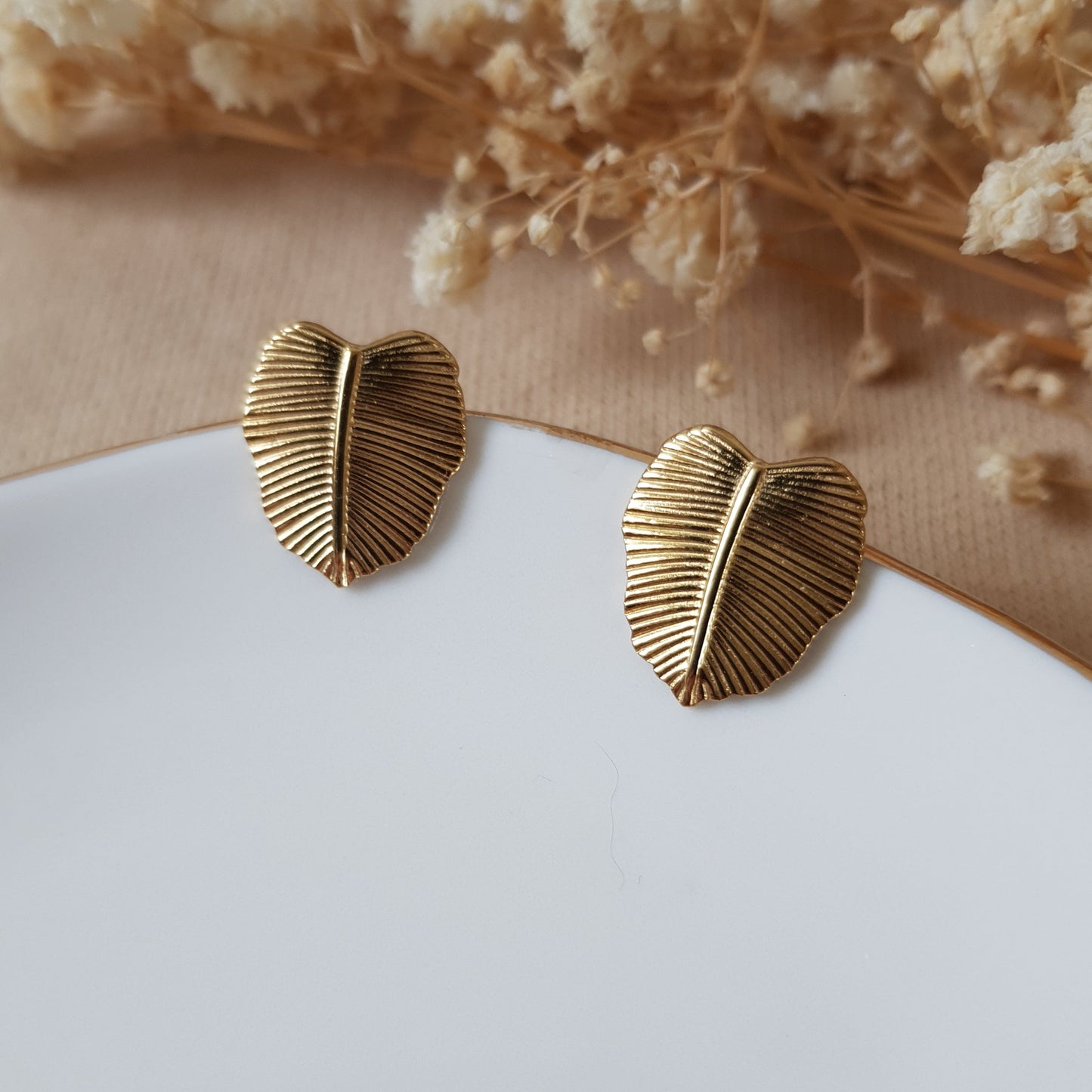 Gold monstera