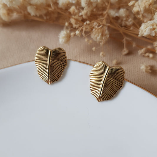 Gold monstera