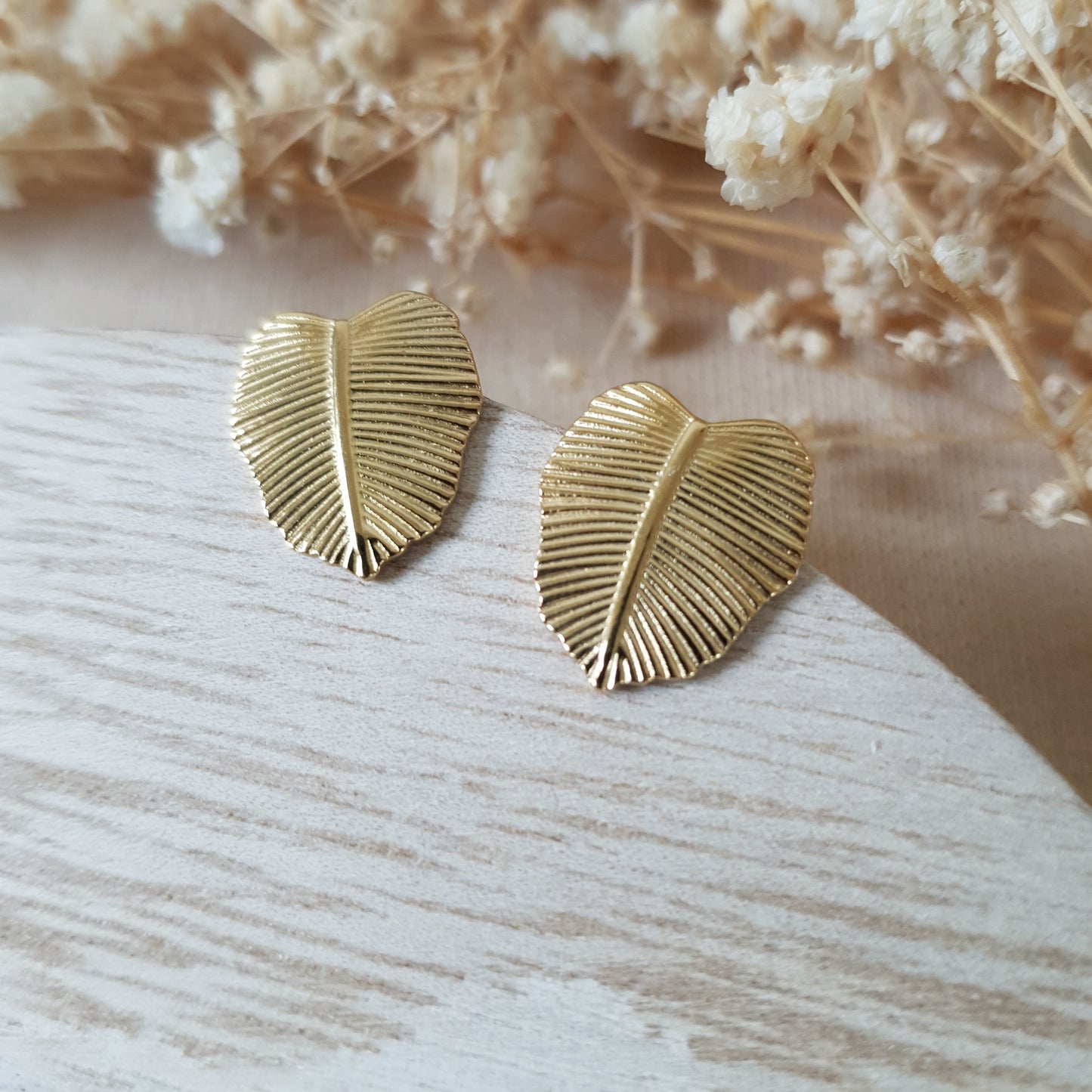 Gold monstera