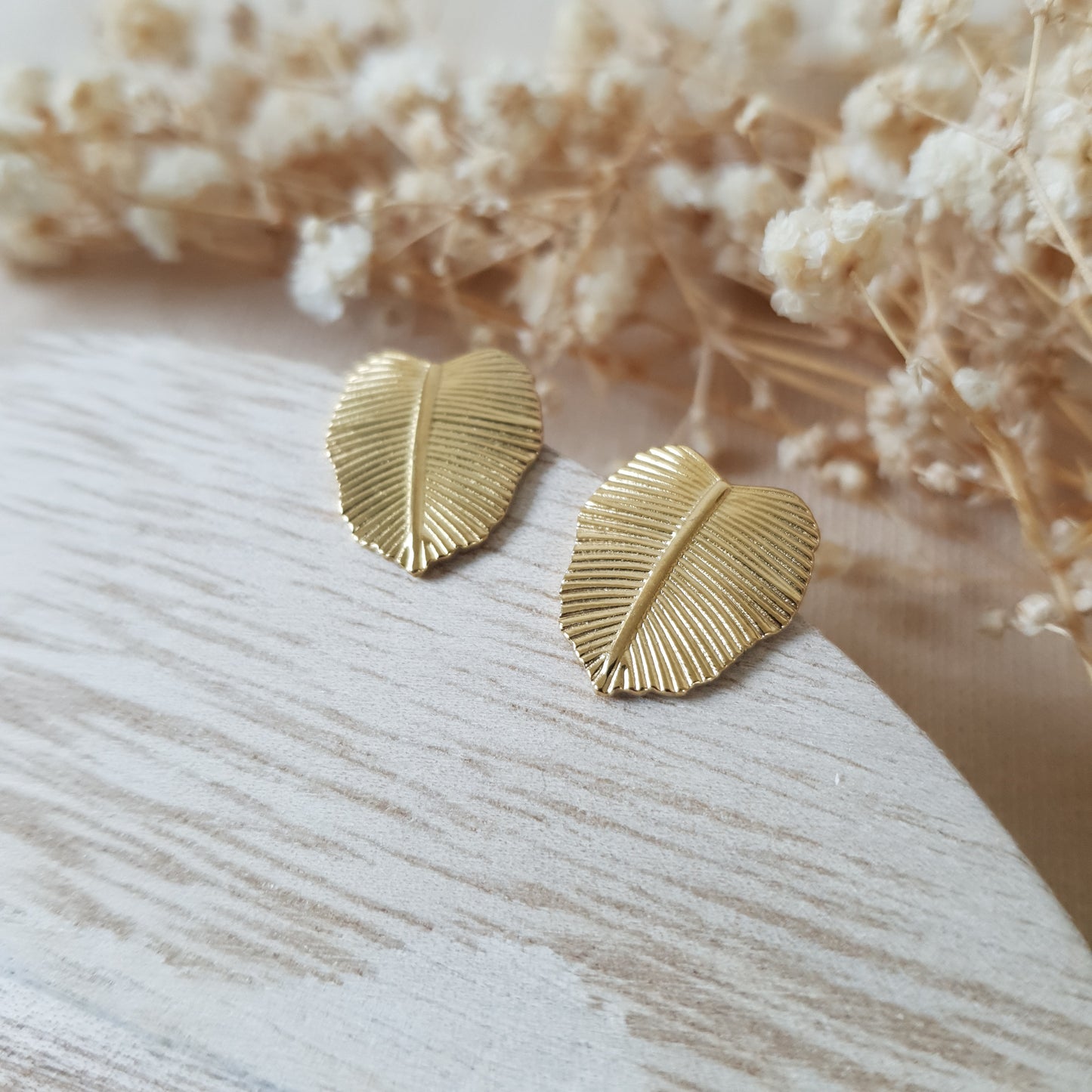 Gold monstera