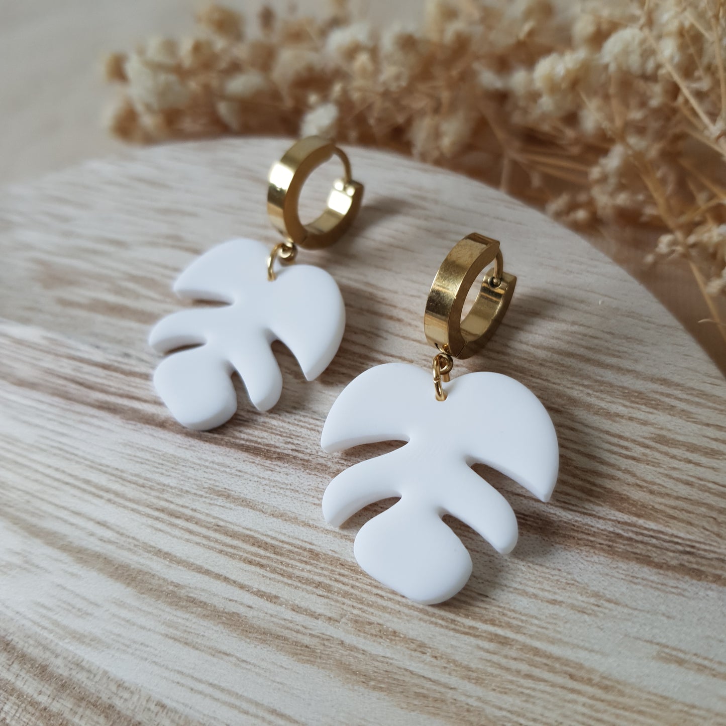 White monstera