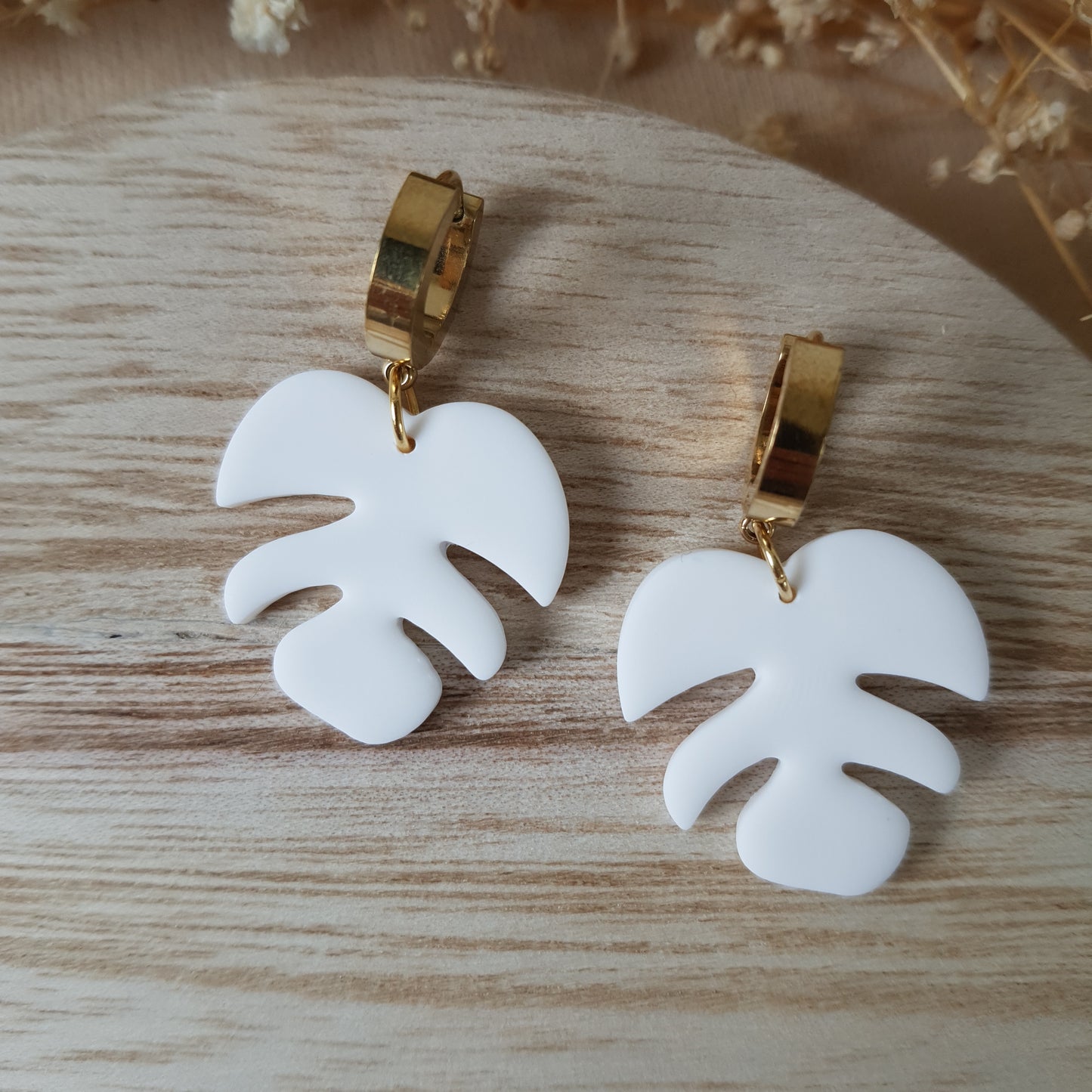 White monstera