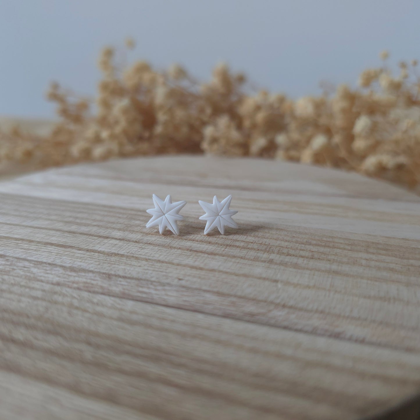 Uhani bela severna zvezda