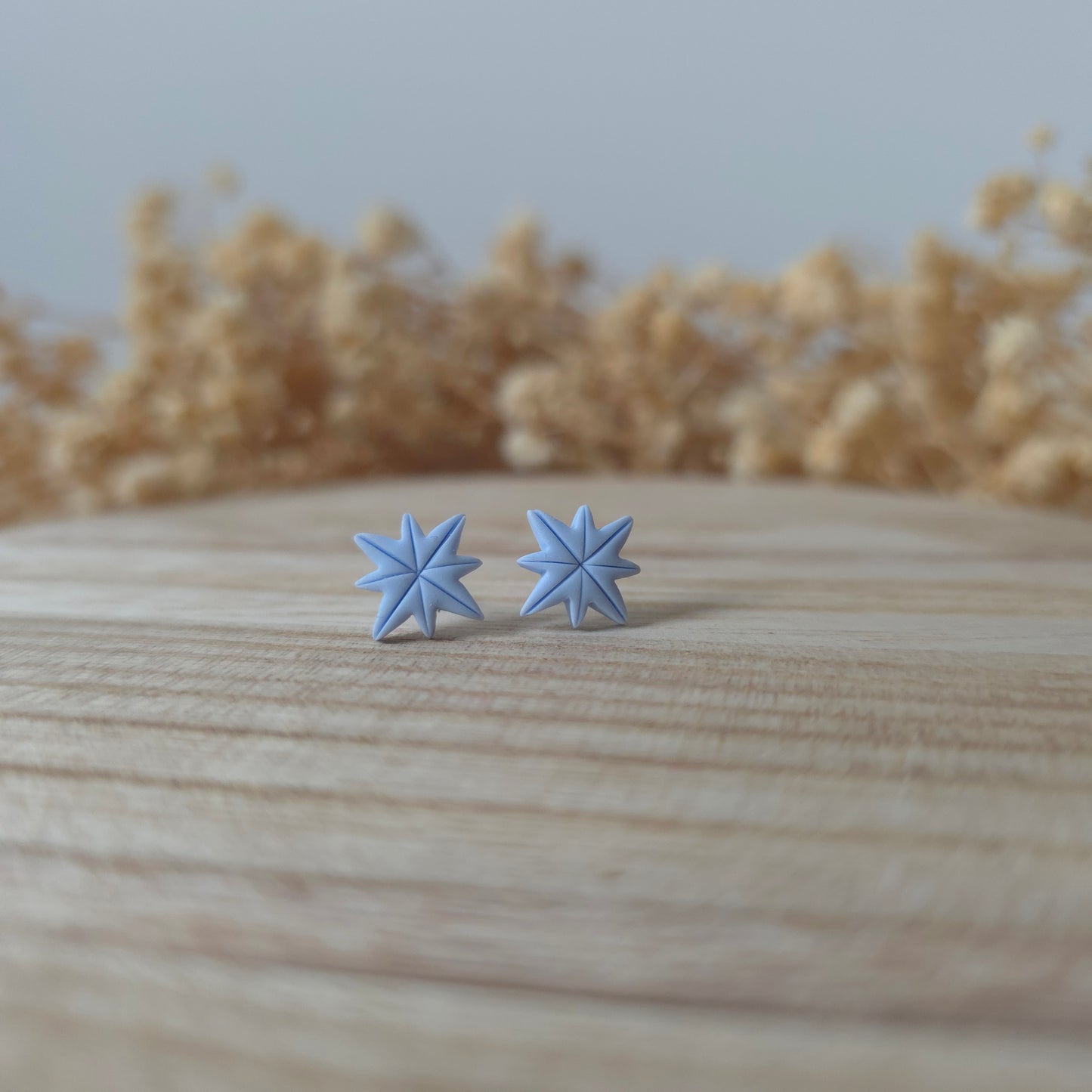 Uhani modra severna zvezda