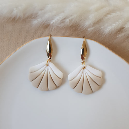 Ombre sea shells