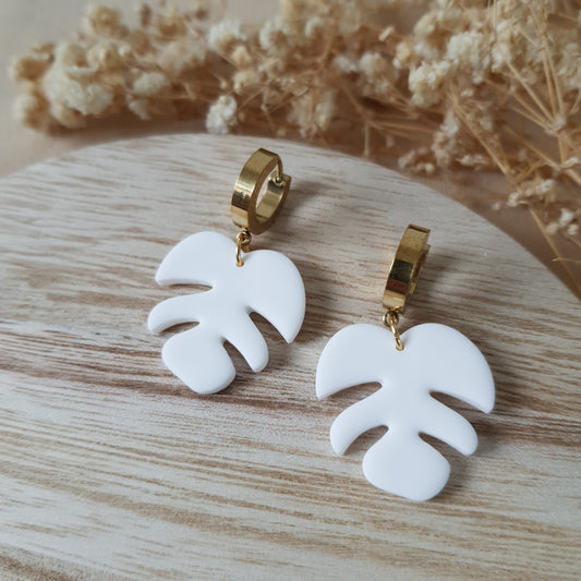 White monstera