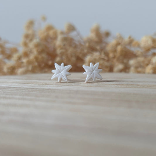 Uhani bela severna zvezda