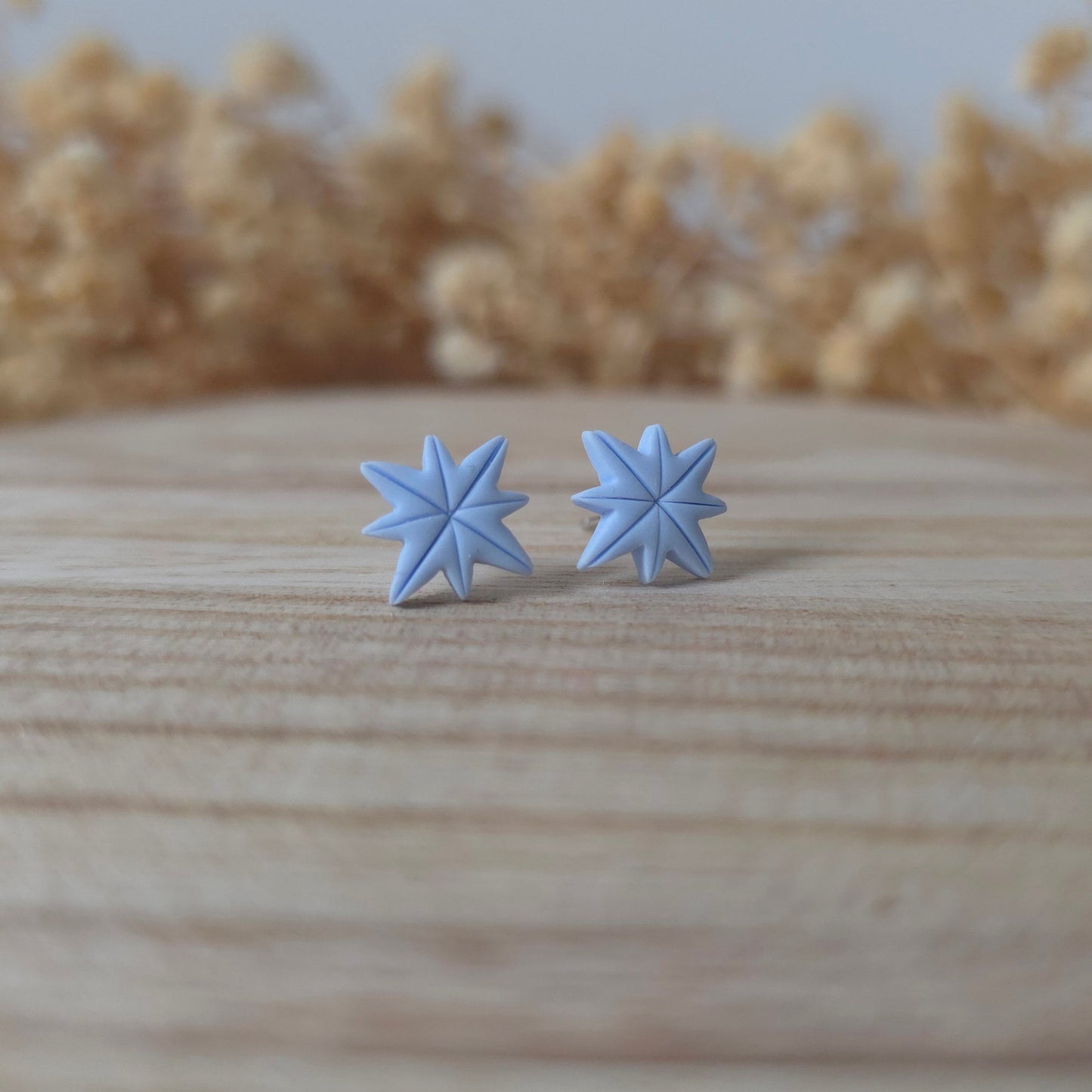 Uhani modra severna zvezda