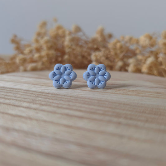 Modre rožice snežinke